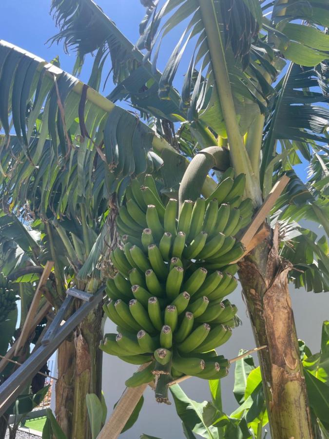King'S Paradise Estreito Da Calheta Bagian luar foto